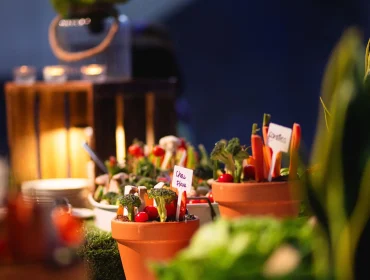 Menu de la soirée
